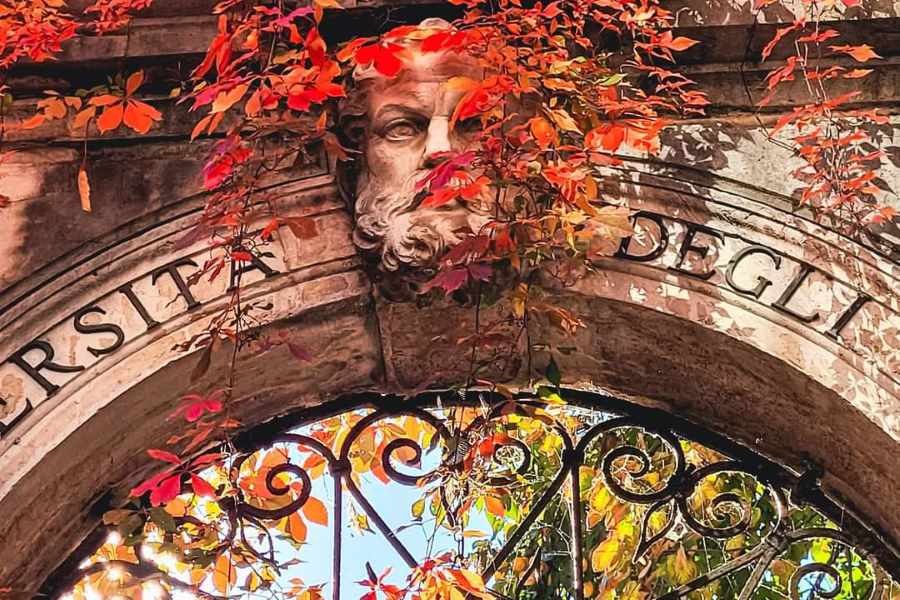 Ca' Foscarı Sarayı Üniversitesi, Venedik