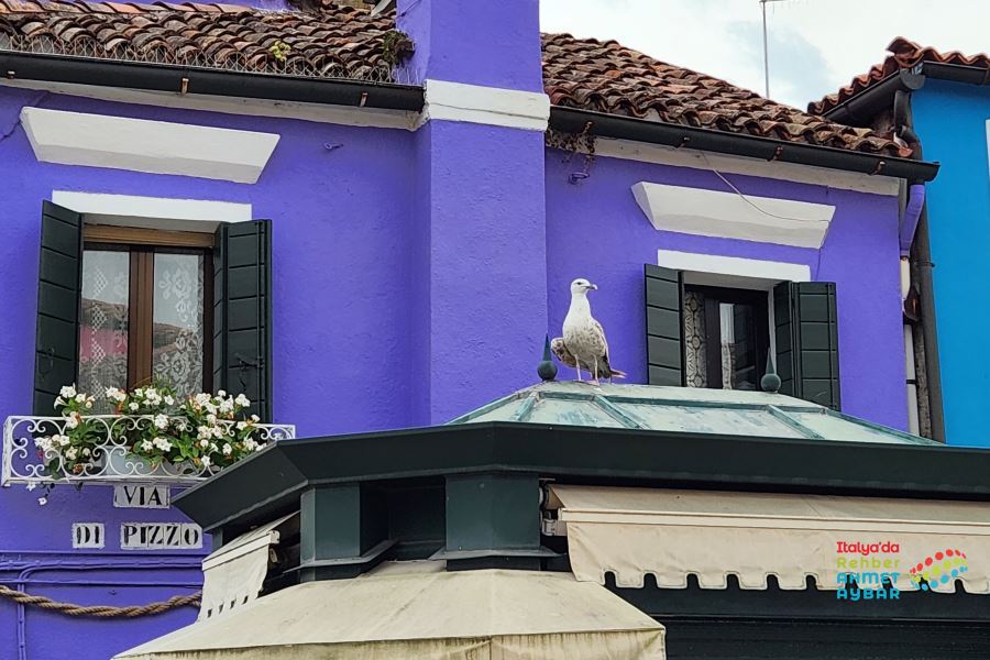 Venedik, Burano Adası