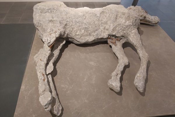 Pompei & Antiquarium İtalya Pompei