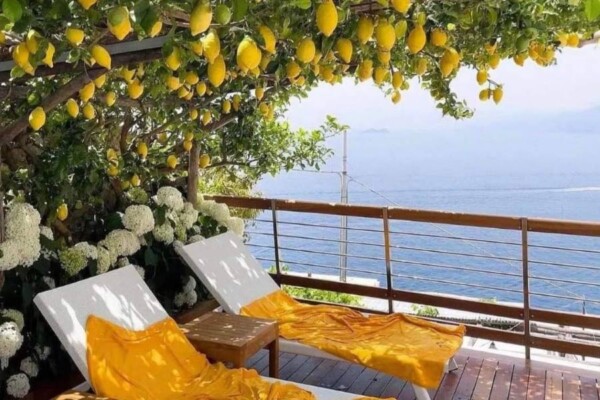 Sorrento & Limon Bahçeleri İtalya Sorrento