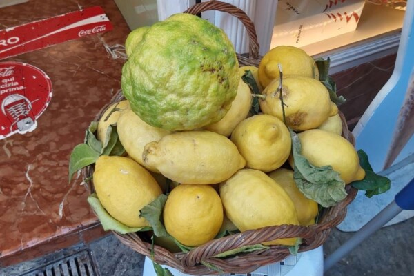 Sorrento Limonları İtalya Sorrento